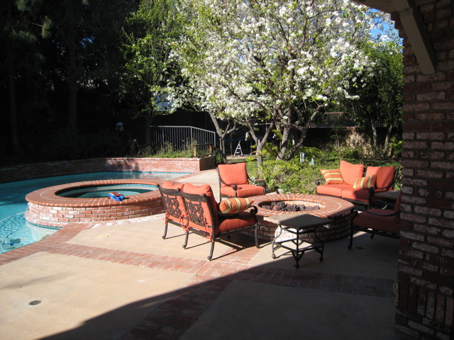Swimming pool, spa, (new) fire pit, and pear trees in bloom