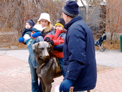 Mounting the bronze dog